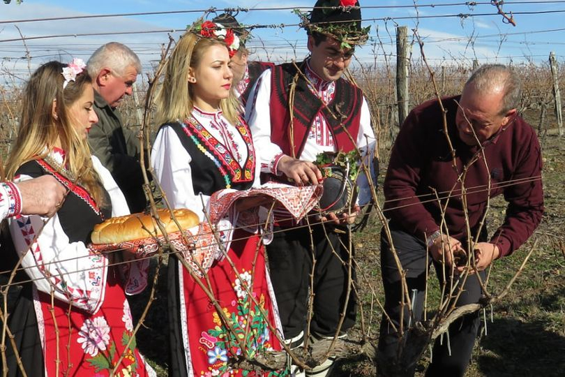 
Уважаеми жители на община Болярово,
уважаеми  винопроизводители и лозари,
на 14 февруари по древна българска традиция почитаме покровителя на лозарите...