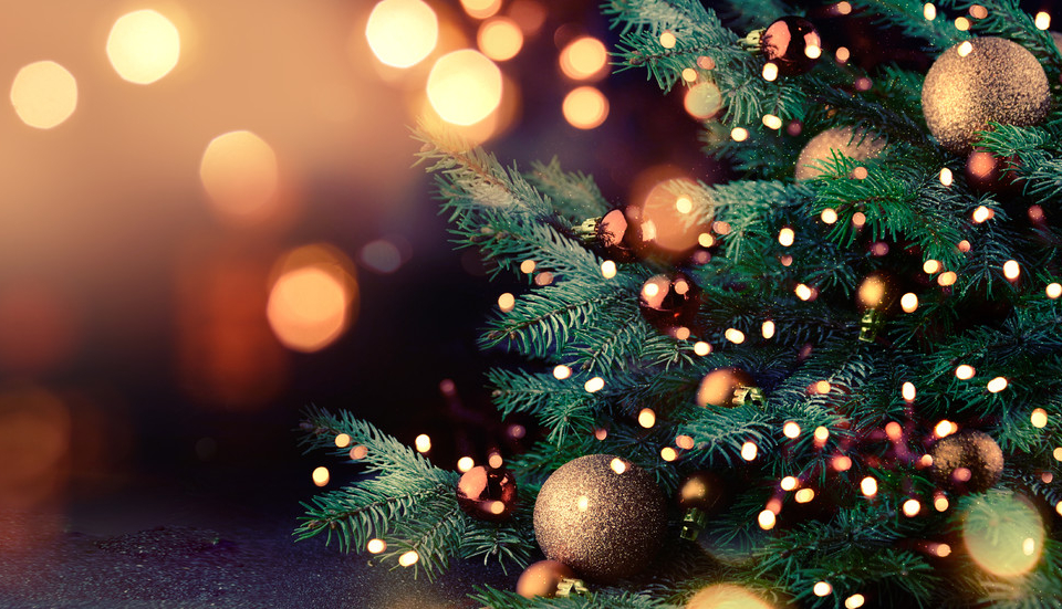 УВАЖАЕМИ ЖИТЕЛИ НА ОБЛАСТ ЯМБОЛ,
Рождество Христово е най-светлият християнски празник! Коледа е времето, за скъпи моменти, споделени с близките ни хора,...