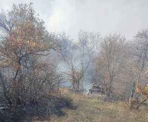 Пожар в гора до полигон "Ново село"