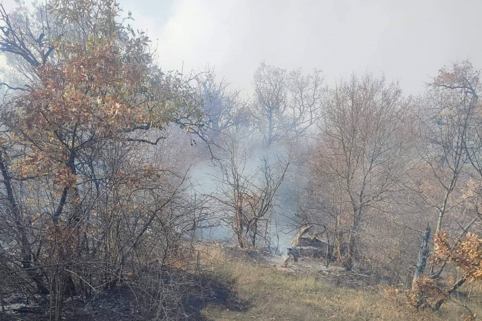 В ранния следобед днес областният управител Минчо Афузов пристигна на мястото на нестихващия пожар северозападно от военния полигон "Ново село", в посока...