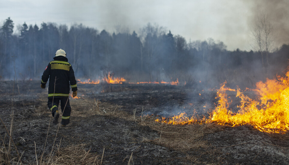Осем големи пожара продължават да горят в област Хасково. От вчера там е обявено бедствено положение заради трудното овладяване на огъня. Високите температури,...