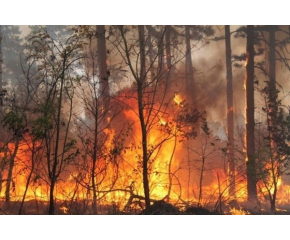 Пожарите в Ямболска област зачестяват.