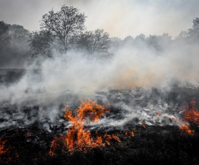 Пожарът край село Брягово е овладян