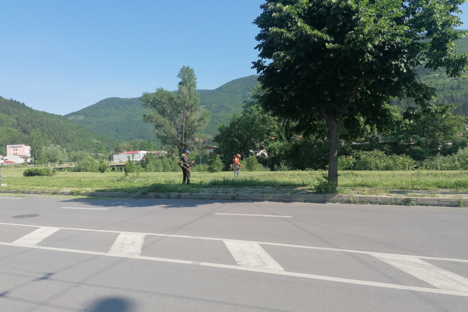 Предстои поредно косене на тревните площи в Сливен. Дейностите се извършват по график от общинското предприятие „Озеленяване и гробищни паркове“.
Косенето...