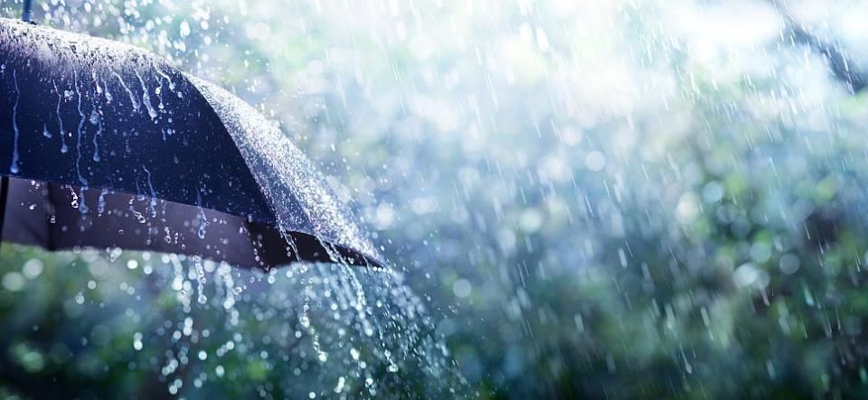Жълт код за обилни дъждове и гръмотевици е в сила за 12 области на страната за 16 август, сочи справка на сайта на Националния институт по метеорология...