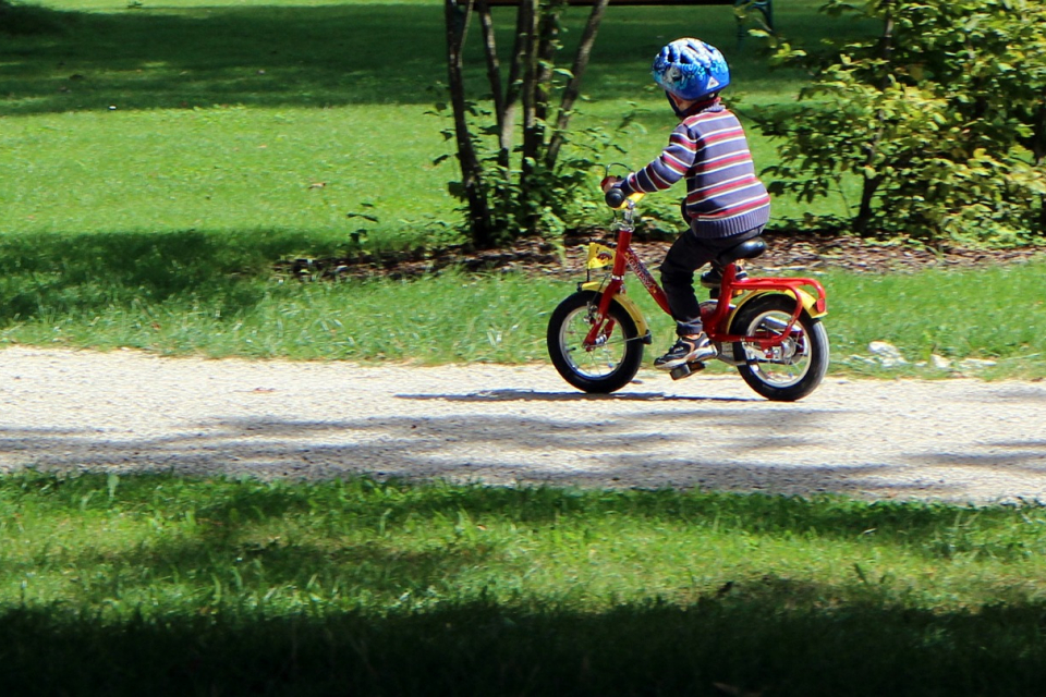 Въпреки мерките, които предприема Община Сливен, продължава движението с велосипеди и тротинетки по Главната улица.
„За пореден път призоваваме родителите...