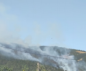 Продължава гасенето на пожара в борова гора край Твърдица