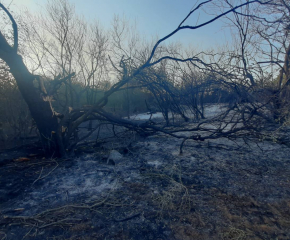 Продължава гасенето на пожара в крайграничната община Болярово, в близост до българо-турската граница