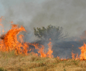Продължава гасенето на пожара между селата Гранитово и Мелница в Елховско