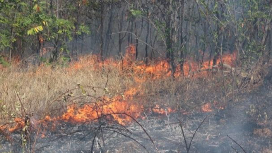 Продължават пожарогасителните дейности в землището на село Мелница. За сега няма опасност за населението място. През нощта и сега на място активни дейности...