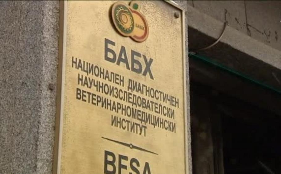 Проф. д-р Паскал Желязков, д.в.м е новият изпълнителен директор на Българската агенция по безопасност на храните. Заеманата от него позиция до момента...