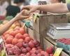 Производители от Югоизточна България се събират отново на изложение в Ямбол