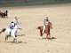 Пролетен празник на коня и конния спорт край ямболското село Тенево