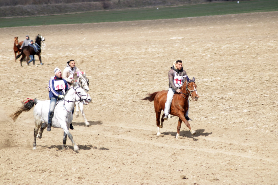 Пролетен празник на коня и конния спорт се провежда днес край ямболското село Тенево. Традиционните кушии ще са в местността Герена. Празникът се организира...