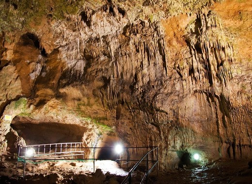 Най-старите останки на съвременния човек на европейския континент са открити в пещерата "Бачо Киро" край Дряново, съобщават световните медии. 
Оказва...