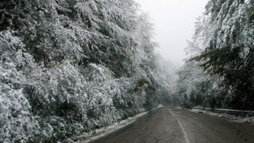 В планинската част на община Сливен има обилни снеговалежи и образувана малка снежна покривка. Независимо от силния вятър през нощта, няма снегонавявания...