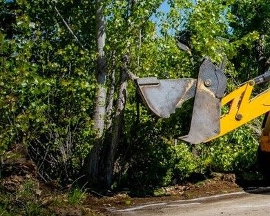 Община Сливен възложи почистване на растителността край пътя Селиминово-Бинкос, която се извършва в момента. Изрязват се клони и храсти, които пречат на...