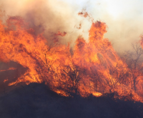 Разраства се пожарът в Сакар планина. Община Свиленград обявява бедствено положение
