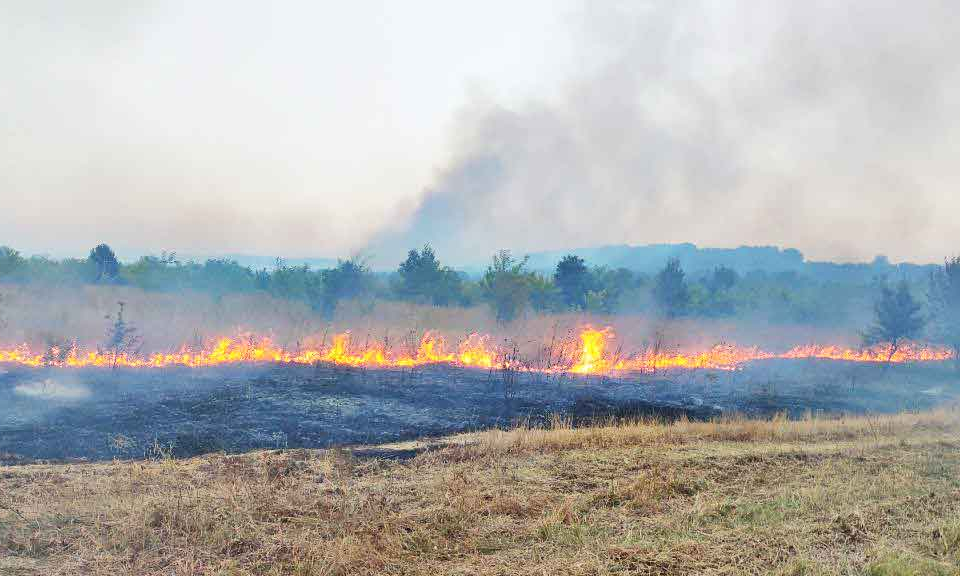 Разраства се огнището на пожара в землището между селата Васково и Оряхово в община Любимец. Това съобщиха от пресцентъра на областната администрация в...
