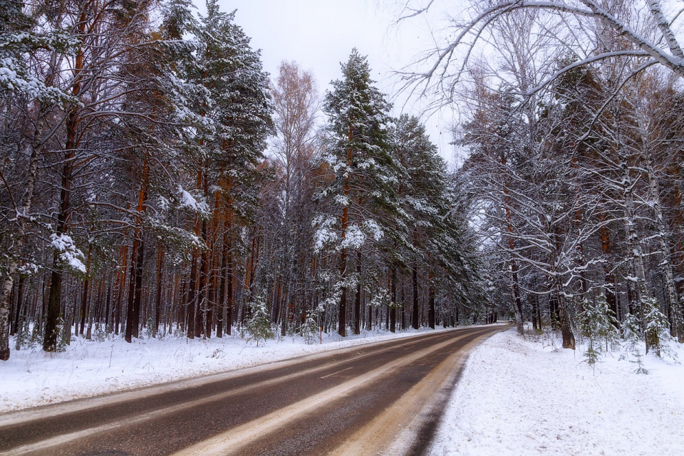 Всички пътища от републиканската пътна мрежа на територията на област Ямбол са проходими при зимни условия. В момента сняг вали в цялата област, но няма...