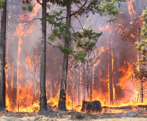 Седми ден борба с огнените стихии, усилията за овладяване на пожарите продължават