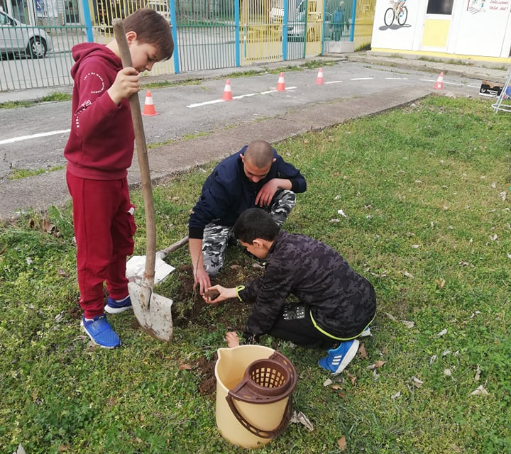 Доброволци от Българският младежки Червен кръст – Ямбол по повод Седмица на гората засадиха дръвчета – бяла акация, като следваха всички указания за правилно...