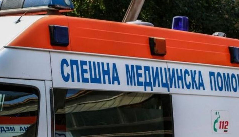 Има шестима загинали при катастрофата на магистрала "Тракия" край Чирпан в 17.00 часа, потвърди за БТА областният управител на Стара Загора Гергана Микова.
Има...