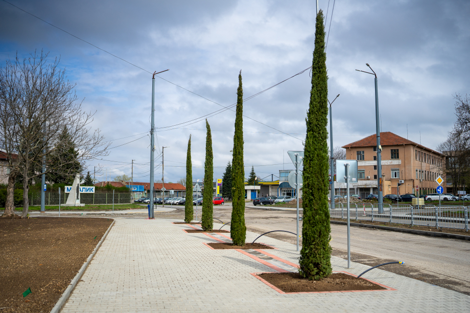 Дванадесет шестметрови кипариса са засадени около новото кръстовище с кръгово движение до сградата на ХЕС АД. Красивите растения ще посрещат жителите и...