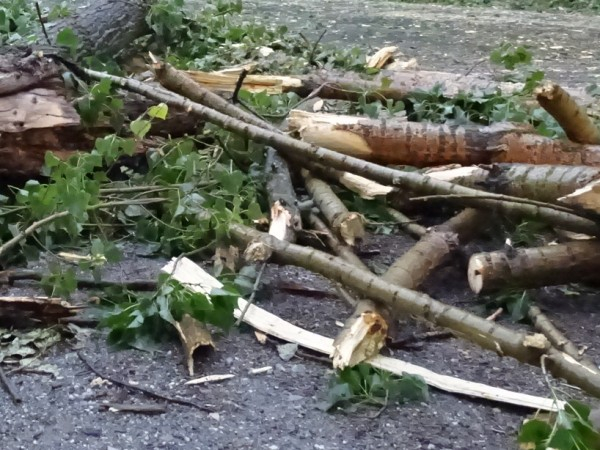 Екипи на РСПБЗН в Нова Загора и Котел са отстранили паднали дървета в кв. „Загоре“ и на пътя между селата Мокрен и Градец. Сигналът за произшествието в...