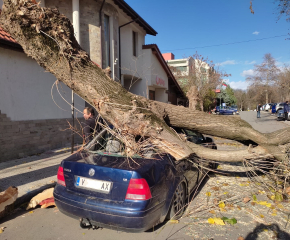 Силният вятър в Ямбол събори дървета и причини материални щети. Внимавайте за падащи предмети! (ВИДЕО)