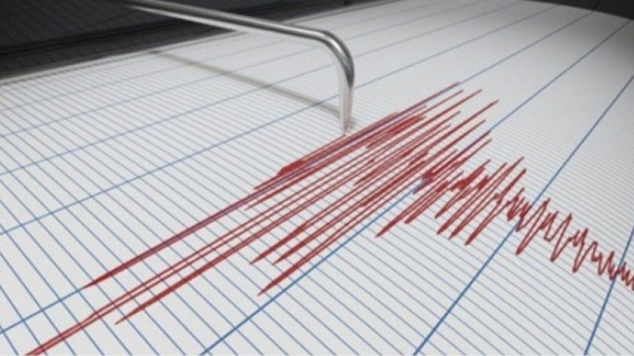 Слабо земетресение е усетено рано сутринта във вторник на територията на страната. Епицентърът му е бил на около километър и половина от град Добрич, съобщават...