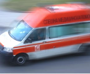 В Сливен: Шофьор е в болница след сблъсък с магаре