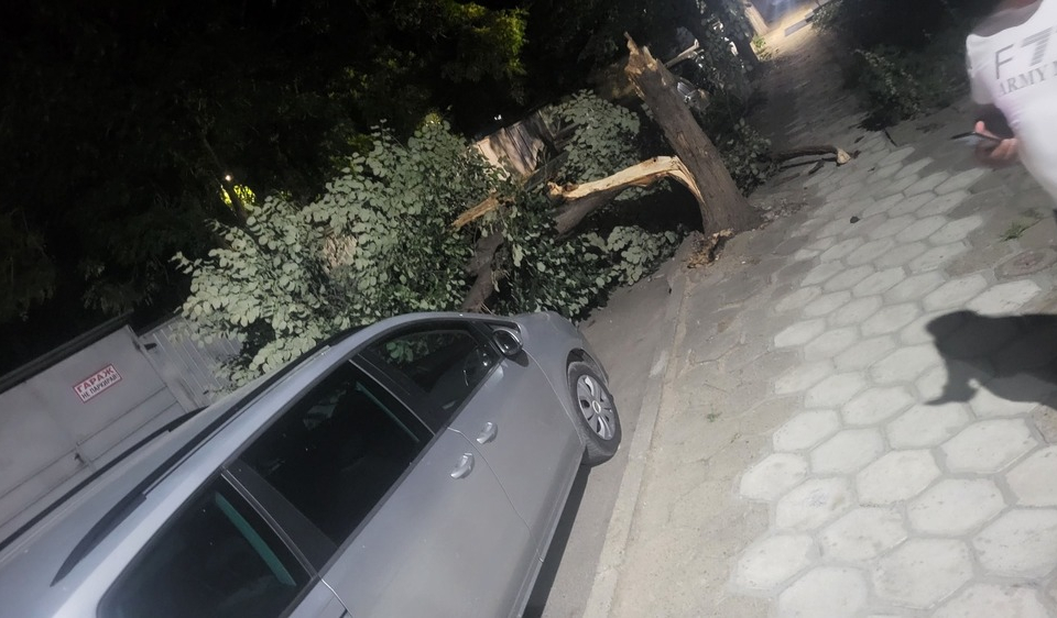 Множество паднали дървета и пречупени клони има в Сливен заради силния вятър. Това съобщи за БТА инж. Снежана Кънева, началник на отдел „Сигурност и управление...