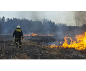 Спасиха от пламъците 250 декара широколистна гора над Сливен