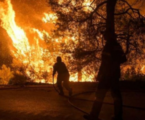 Спасиха от пожар гора край Шивачево