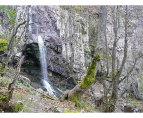 Спасителна акция около Боянския водопад