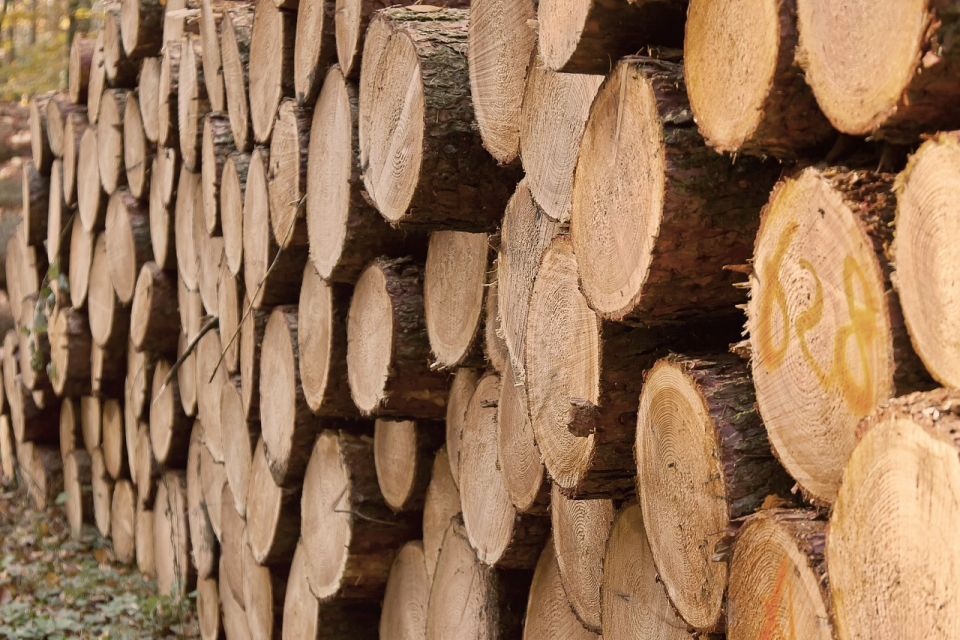 Община Болярово съобщава на жителите на гр. Болярово и всички заинтересовани лица, че стартира кампания по подаване на заявления за закупуване на дърва...