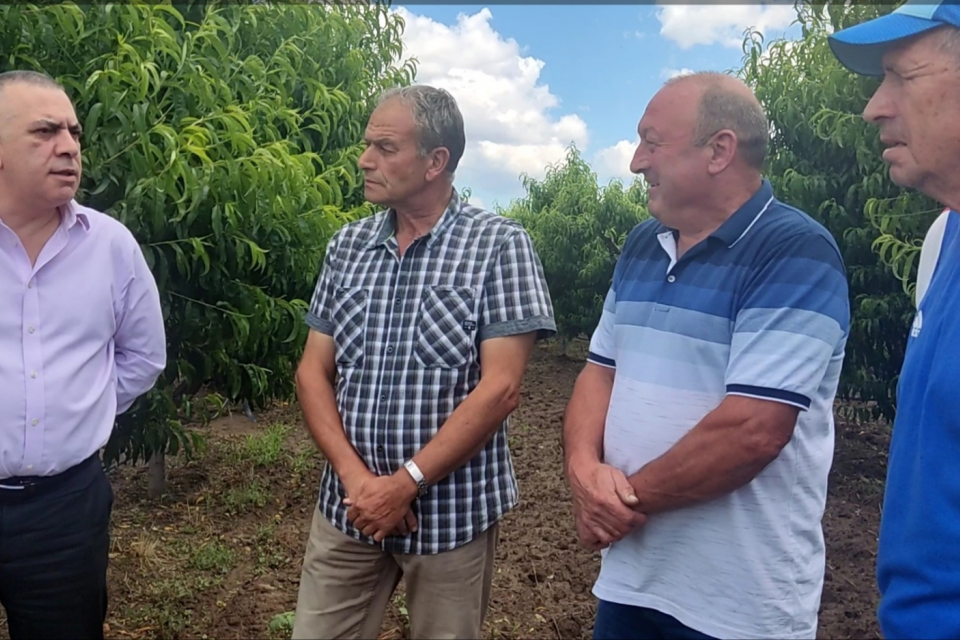  Производители на плодове и зеленчуци от община Сливен настояват за компенсация от държавата за пропадналите площи. Това стана ясно по време на среща на...