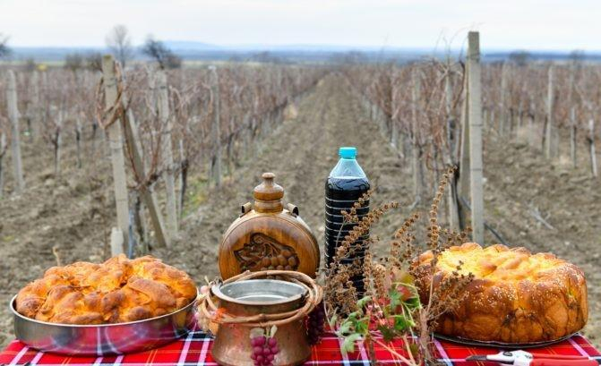 Стралджански лозари и винопроизводители ще отбележат празника Трифон Зарезан на 14 февруари. Традиционният ритуал по зарязване на лозите ще се състои в...
