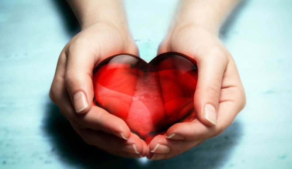 Отбелязваме Световния ден на кръводаряването. В България първата акция за безвъзмездно даряване на кръв се провежда през 50-те години на миналия век.
Данните...