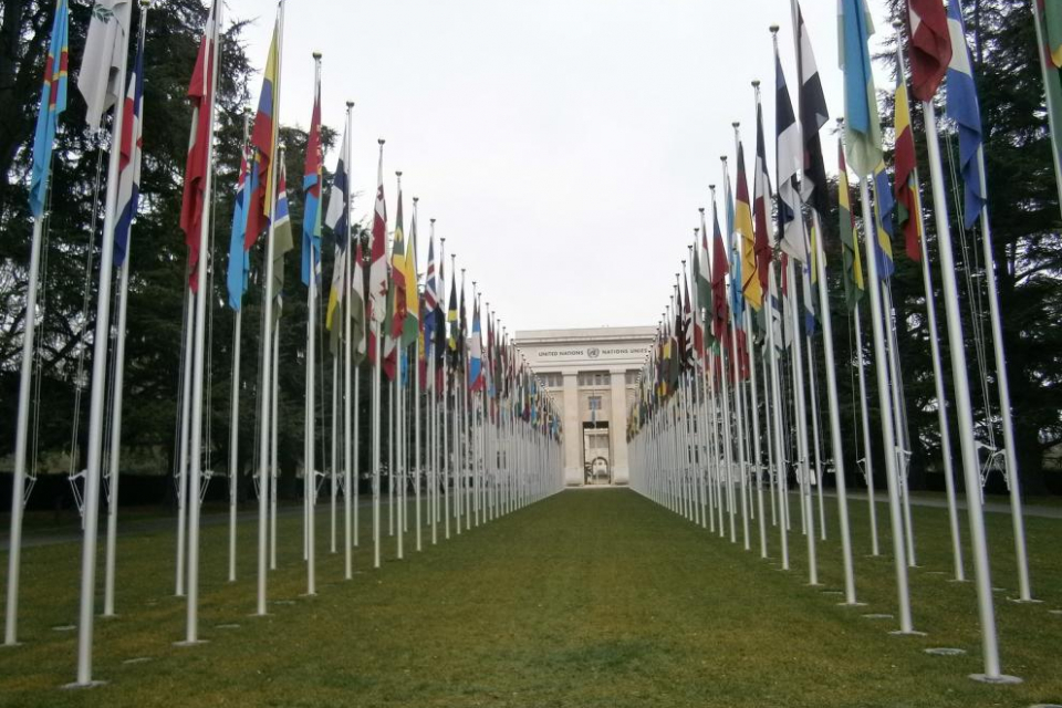 На 24 октомври отбелязваме Международния ден на Обединените нации. През 1947 година Общото събрание на Организацията на Обединените нации обявява 24 октомври,...