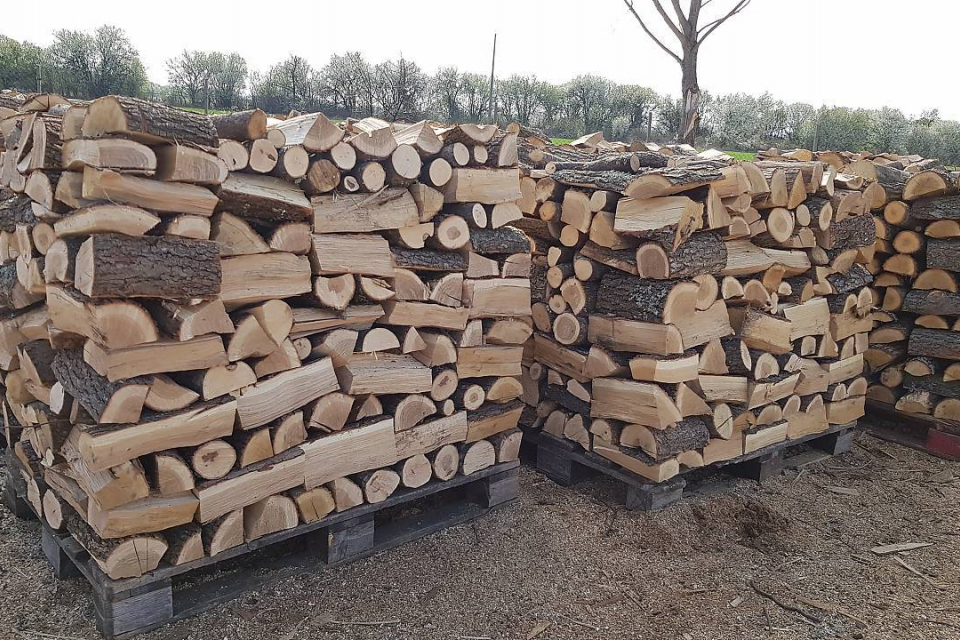 За поредна година Община Сливен инициира дейности по подпомагане на хора с увреждания и предоставяне на дърва за огрев за зимния период 2022-2023 година.
Определените...