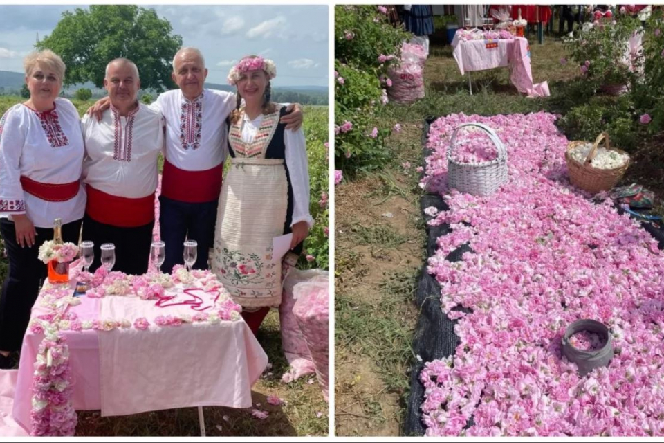 Младоженци избраха нестандартно място, където да сключат брак. Кети Виденлиева и Борис Кацарски от Овощник се венчаха в розовите полета около Казанлък.Това...
