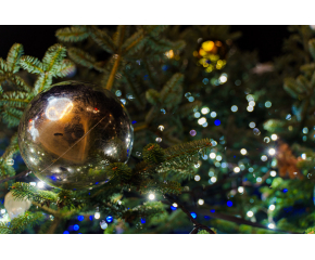 Топлото време се завръща на 11 декември, когато ще светнат празничните светлини на коледната елха в Ямбол 