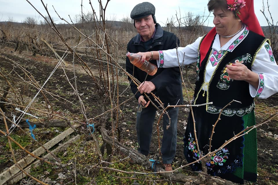 На 14.02.2025 г. (петък) в населените места на община „Тунджа“ ще се проведат инициативи, свързани с традиционното зарязване на лозята по повод празника...