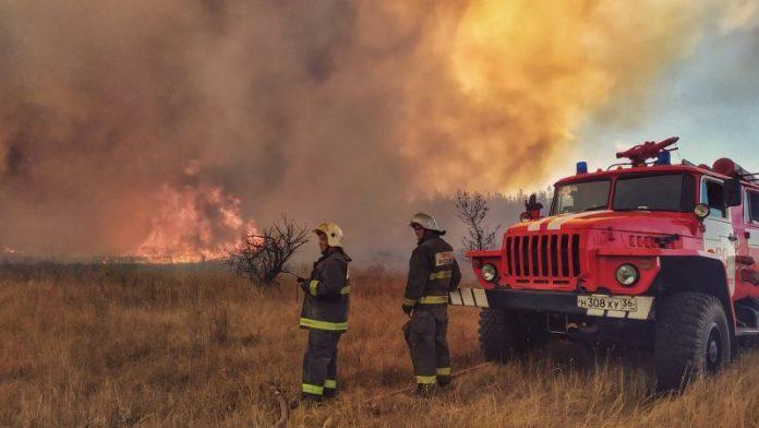Все още се търсят причините за пожара в Свиленградско, който обхвана 3000 декара гора, съобщи NOVA. Огънят пламна вчера следобед между селата Левка и Мустрак.
Заради...