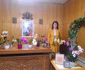 Вдъхновяваща изложба под надслов „Истории с игла и бод“ в Стралджа