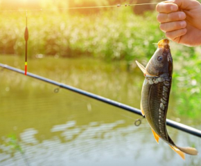 Влиза в сила забрана за риболов по река Дунав и някои вътрешни водоеми