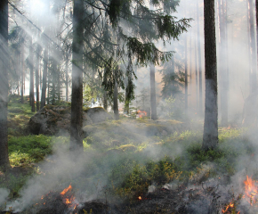 Все още гори в елховско, частично бедствено положение в Раднево