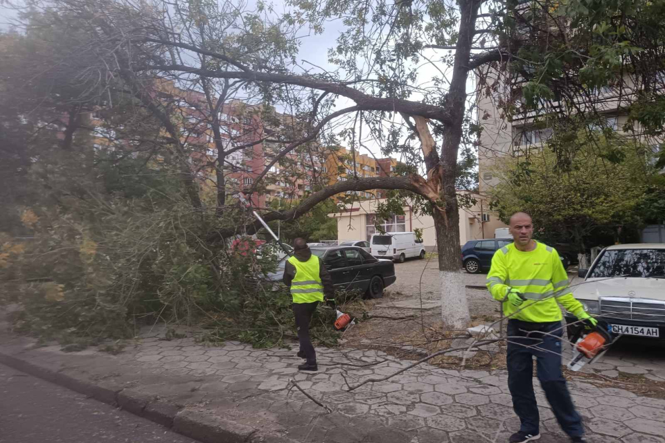 Вятър на пориви, достигащ до 90 километра в час, духа от снощи в сливенско. Има подадени сигнали за счупени клони на места и паднало дърво в квартал „Република“....